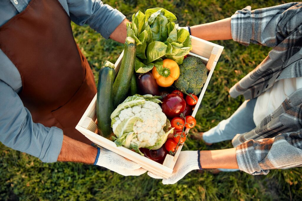 panier de légumes de saison distribué en AMAP producteur local