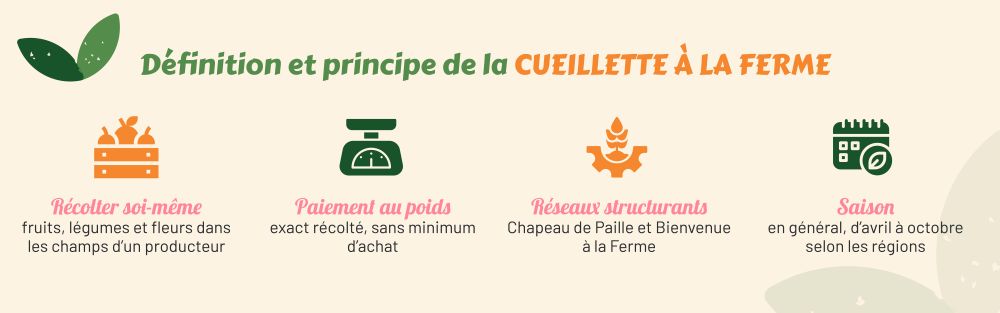 principes et définition de la cueillette à la ferme