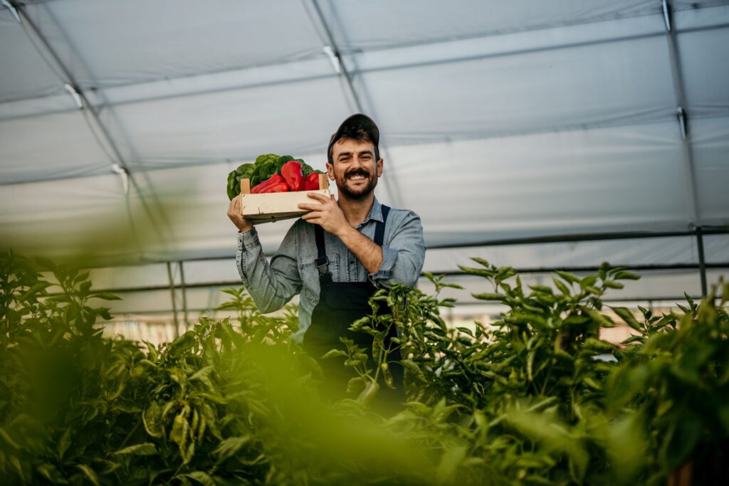 drive fermier point de retrait commande producteurs locaux